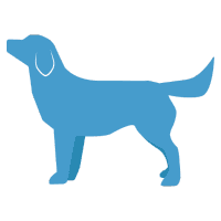 Dog Grooming services - Find local dog grooming professionals