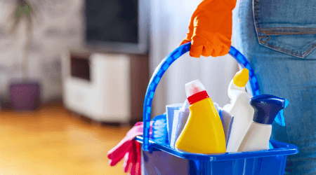 Professional house cleaning